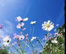 気軽にお話ししてくれませんか？ぜひお聞きします 社会の荒波に揉まれた大手航空会社勤めが全てを受け止めます イメージ6