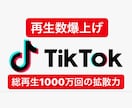 TikTokであなたの動画を拡散・宣伝します 総いいね数56.9k総再生数1000万回再生の拡散力 イメージ1