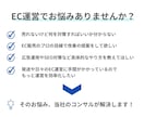 販売実績多数！楽天 売上UPノウハウ教えます 現役楽天プレイヤーが売上UPノウハウを丁寧にレクチャー イメージ2
