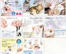 楽天アマゾンなどEC商品画像の制作します EC運営経験者が心を動かす商品ページをまるっと提案 イメージ7