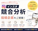 インスタ競合分析から投稿企画をご提案します お試し特別価格！先着5名！分析から投稿企画・改善案までご提案 イメージ1