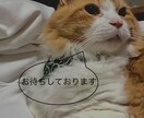 1分から。どんな些細なことも、お待ちしております よくある話だからと、小さなことだからと 諦めないでください。 イメージ3