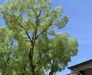 誰にも言えない悩み聞きます 人には言いにくいけど悩みや吐き出したい事などヒアリング✿ イメージ1