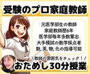 元医学部生のプロ講師が30分面談or授業をします 受験相談でも問題解説でも何でもOK！30分で雰囲気を確かめて イメージ1