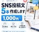 商品に合わせたSNS投稿文を5本作成します 店舗・個人事業・ネットショップの発信を文章でお手伝い イメージ1