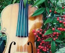 ヴァイオリンのレッスンをします ヴァイオリンで好きな曲を弾きたいという方へ(^^♪ イメージ6
