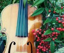 ヴァイオリンのレッスンをします ヴァイオリンで好きな曲を弾きたいという方へ(^^♪ イメージ6