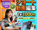 SNS動画編集いたします TikTok 、Instagram、YouTubeなどの編集 イメージ1