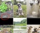 プロがインスタグラムの運用代行をします 数値でなく『売上や利益、集客』に繋げる成果重視の運用 イメージ3
