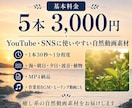 癒しの自然動画素材を5本届けます YouTube・SNS用の癒し系自然動画です イメージ2