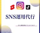 SNS DM完全手動代行｜Instagramます 1日20通×22日稼働｜完全手動送信｜アカウント成長・集客 イメージ1