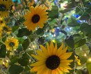 聞きます 現実から離れて楽しみませんか？ イメージ1