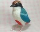 貴方のお気に入りの野鳥の羊毛フィギュアを制作します 普段ショップではあまり見かけない「羊毛の野鳥」を制作します イメージ9