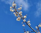 私ってどこか他の人と違うの？その不安に寄り添います その不安…私と二人でまずは半分こにしてみませんか？ イメージ1