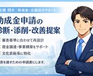 助成金申請書を審査目線で診断します 助成金審査に通る構造かを明確にします イメージ1