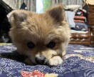 皆様の日常での悩みや恋愛などあなたの心を和らげます 皆様日頃の悩みを1人で抱えていませんか？ イメージ1
