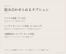リピーター様限定｜似合うアイテムを2点提案します 過去にご提案したスタイリングに合う、服や小物をお選びします イメージ6