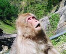 大学行く意味あります 大学って行く意味あるの？私なりの考え方 イメージ1