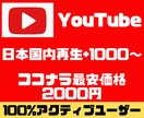 YouTube日本人の再生+1000回増やします 日本人のアクティブユーザーが宣伝します！ユーチューブ/収益化 イメージ1