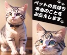 大切なペットちゃんの気持ちをお伝えします 病気や天国への導きにも対応。どんなことにも寄り添います。 イメージ1