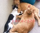 誰かに聞いてもらいたいをあなたのペースで話せます 心と身体を癒すセラピスト歴10年の私があなたに寄り添います♡ イメージ9