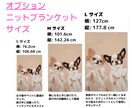 修正無制限｜うちの子をドット絵にします 普通とは違う味のある「ドット絵」で特別な絵をお届けします イメージ9