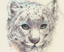 野性的・綺麗・かわいい動物絵・ペットちゃん描きます 水彩　CG パステル　色鉛筆　アクリルガッシュ　日本画各手法 イメージ7