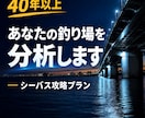 あなたの釣り場を分析！シーバス攻略プランを作ります 40年以上の経験から、ポイント・潮・ルアーなどを個別提案 イメージ1