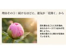 24時間の吉祥エネルギーヒーリングを行います 眠っている間も24時間包み込む吉祥の光で心身を整える極上ケア イメージ7