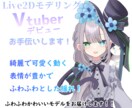 Vtuber向けLive2Dモデルを制作いたします 可愛くぬるぬる動く！高品質なモデルをお届けします！！ イメージ1