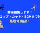 実績作りの為最初の3名様限定で特別価格で対応します 見やすくテンポ良く！ショート動画編集いたします イメージ1