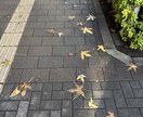 傾聴しますしアドバイスも出来ます 相談内容について出来るだけ詳しく情報を入れてください。 イメージ1