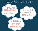 1ヶ月間、Instagramの運用代行致します 丸投げOK！あなたのお店、認知度UPさせます！ イメージ2
