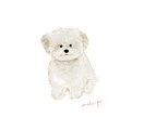 オシャレな雰囲気でペットのイラストお描きします ゆるいタッチでペットをめちゃめちゃ可愛くします☺︎ イメージ4