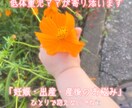 低体重児ママがお悩み・不安に優しく寄り添います 【低体重・早産】保育士ママと少しでも安心してお話しませんか？ イメージ1
