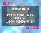 破格！100RT、100いいね保証の拡散します １万フォロワー越えインフルエンサーがツイートを拡散 イメージ1