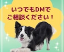 即販売できるコンテンツをあなたに代わって作成します 忙しくても大丈夫！あなたは販売するだけでＯＫ！ イメージ10