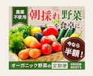 ポップで視認性の良いバナー★他Web画像作成します カラーやフォント、配置、素材全てにこだわり丁寧に作成します！ イメージ5