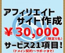 有料テーマでアドセンス･物販向けサイト作成します テーマ代込み！アフィリエイト記事を即投稿できる状態で納品 イメージ1