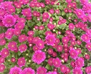 風景写真の写真提供を行います 韓国在住の私が韓国でしか撮れない風景写真を提供します！ イメージ2