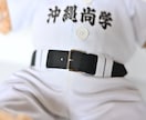 ぬいぐるみ用衣装・コスチュームを制作します 推し活や応援に！大切なぬいぐるみにぴったりの衣装を作ります イメージ9