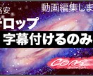 タイトルやテロップ字幕付けるだけます 超格安、テロップ付けるだけ編集 イメージ1