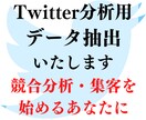 Twitterのデータ抽出いたします Twitterを運用・競合分析したい方必見！ イメージ1