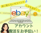 eBayの永久サスペンドからの復活をお手伝いします 登録後すぐの身に覚えのない永久サスペンドの復活をサポート！ イメージ1