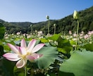 ツインレイとしての【使命と覚醒】を霊視します 【ツインレイ】出会いには意味がある｜貴方の魂の目的を伝えます イメージ7