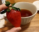 友達のようにお話を聞きします ほっこりちょっぴりのんびりと。お話し聞かせてください♪ イメージ1