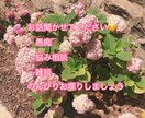 なんでもお話聞かせていただきます 何となくさみしい、誰かと話したい方へ！ イメージ1