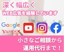 広告成果を最大化する戦略コンサル型運用代行します 『外部マーケコンサル』として伴走！大手代理店出身のプロが対応 イメージ2