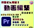 初回の方限定!　動画編集承ります 細かくご要望確認！お直し何回でもOK！ご相談だけでも！！ イメージ1