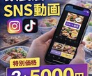 飲食店向けに集客用のショート動画を作ります SNS初心者でも安心！飲食店向けの集客用動画制作 イメージ2